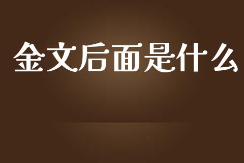 金文后面是什么_https://cj006.lansai.wang_外汇交易_第1张