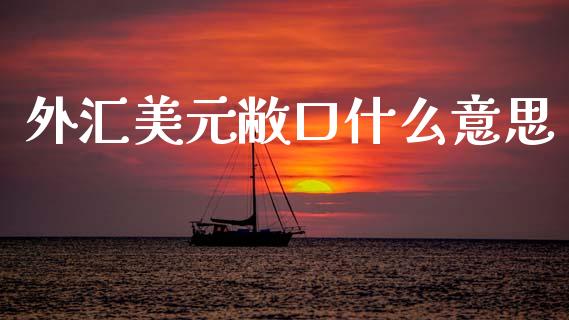 外汇美元敝口什么意思_https://cj006.lansai.wang_外汇交易_第1张