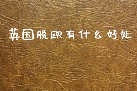 英国脱欧有什么好处_https://cj006.lansai.wang_金融监管_第1张