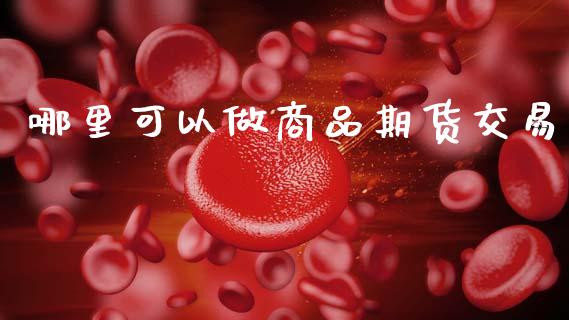 哪里可以做商品期货交易_https://cj006.lansai.wang_财经新闻_第1张