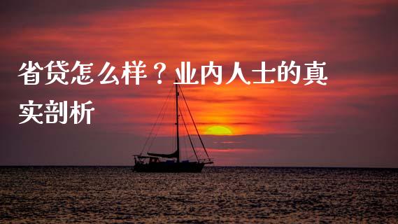 省贷怎么样？业内人士的真实剖析_https://cj006.lansai.wang_财经新闻_第1张