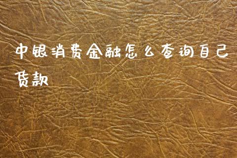 中银消费金融怎么查询自己货款_https://cj006.lansai.wang_期货开户_第1张