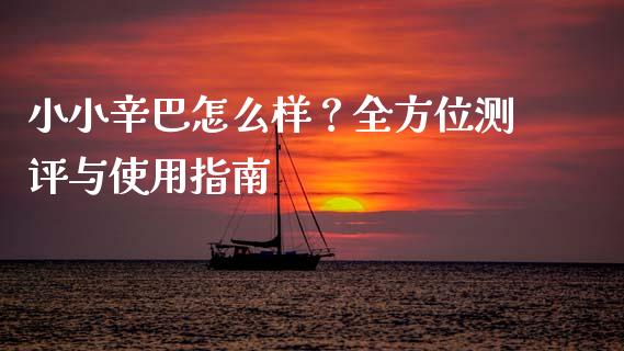 小小辛巴怎么样？全方位测评与使用指南_https://cj006.lansai.wang_财经新闻_第1张