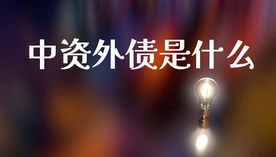 中资外债是什么_https://cj006.lansai.wang_期货开户_第1张