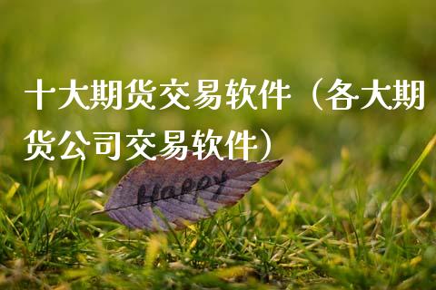 十大期货交易软件（各大期货公司交易软件）_https://cj006.lansai.wang_全球市场_第1张