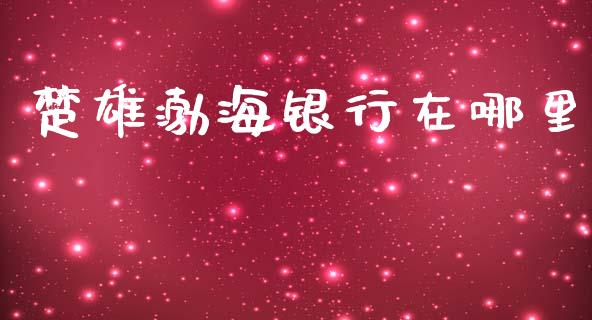 楚雄渤海银行在哪里_https://cj006.lansai.wang_财经新闻_第1张
