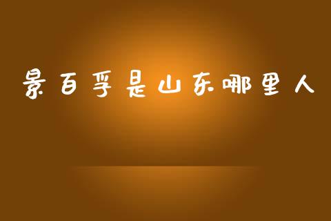 景百孚是山东哪里人_https://cj006.lansai.wang_金融监管_第1张