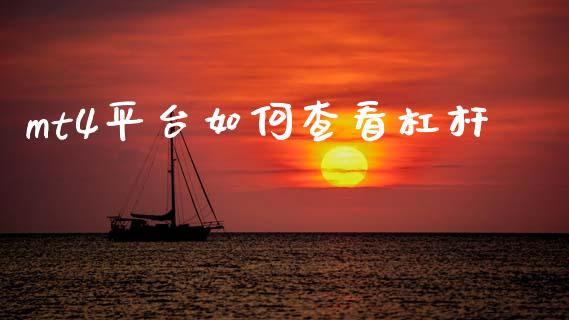 mt4平台如何查看杠杆_https://cj006.lansai.wang_金融监管_第1张