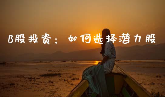 B股投资：如何选择潜力股_https://cj006.lansai.wang_债券资讯_第1张