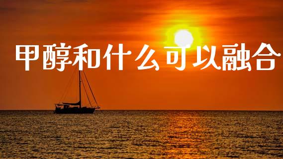 甲醇和什么可以融合_https://cj006.lansai.wang_财经新闻_第1张