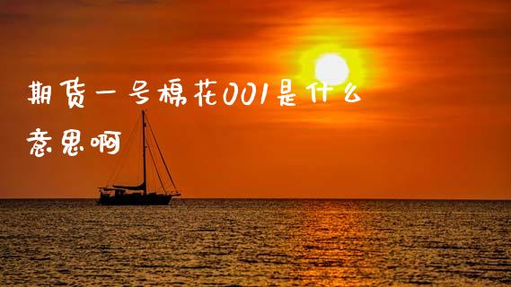 期货一号棉花001是什么意思啊_https://cj006.lansai.wang_外汇交易_第1张