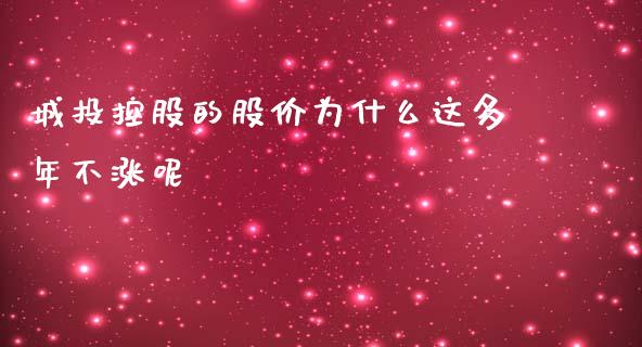 城投控股的股价为什么这多年不涨呢_https://cj006.lansai.wang_财经新闻_第1张
