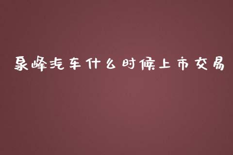 泉峰汽车什么时候上市交易_https://cj006.lansai.wang_债券资讯_第1张
