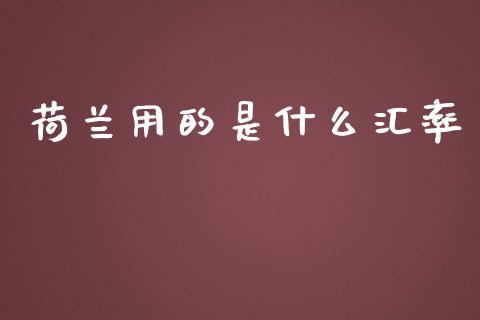 荷兰用的是什么汇率_https://cj006.lansai.wang_金融监管_第1张