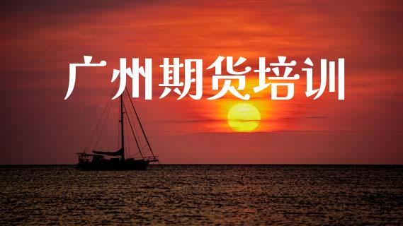广州期货培训_https://cj006.lansai.wang_金融监管_第1张