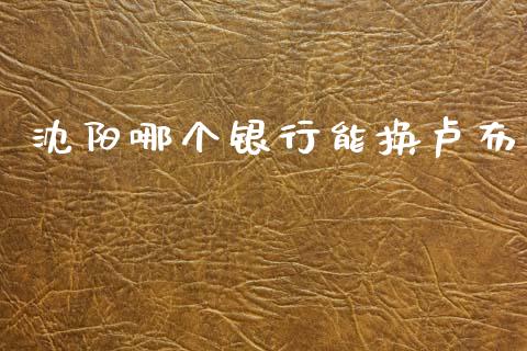 沈阳哪个银行能换卢布_https://cj006.lansai.wang_财经新闻_第1张