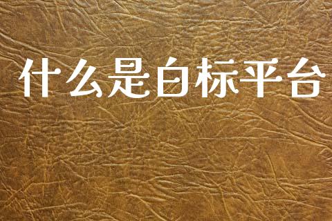什么是白标平台_https://cj006.lansai.wang_金融监管_第1张