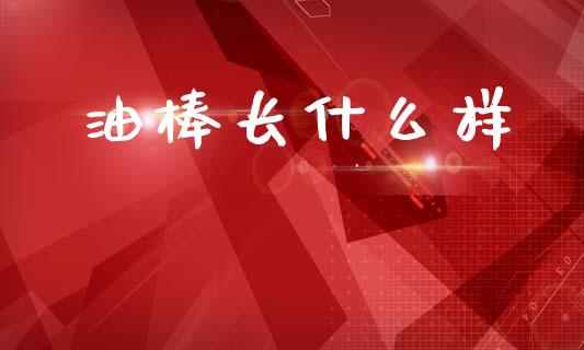 油棒长什么样_https://cj006.lansai.wang_财经新闻_第1张