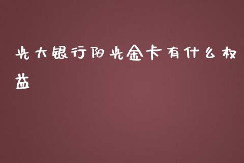 光大银行阳光金卡有什么权益_https://cj006.lansai.wang_金融监管_第1张
