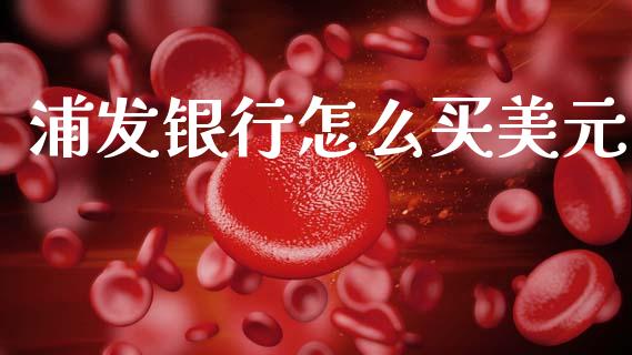 浦发银行怎么买美元_https://cj006.lansai.wang_债券资讯_第1张