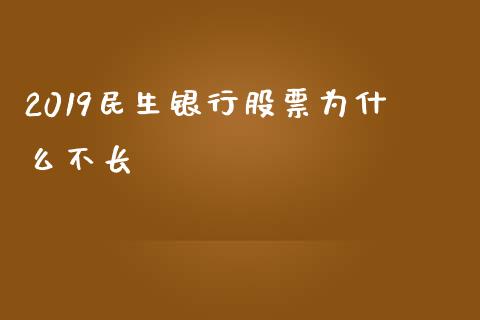 2019民生银行股票为什么不长_https://cj006.lansai.wang_财经新闻_第1张