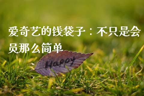 爱奇艺的钱袋子：不只是会员那么简单_https://cj006.lansai.wang_外汇交易_第1张