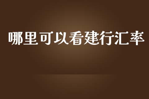 哪里可以看建行汇率_https://cj006.lansai.wang_外汇交易_第1张