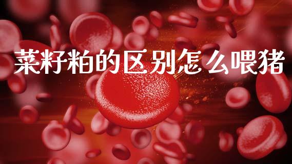 菜籽粕的区别怎么喂猪_https://cj006.lansai.wang_全球市场_第1张