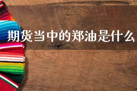 期货当中的郑油是什么_外汇交易_第1张_期货开户_金融监管_外汇交易_债券资讯_全球市场_财经新闻 期货当中的郑油是什么_https://cj006.lansai.wang_外汇交易_第1张