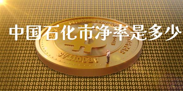 中国石化市净率是多少_https://cj006.lansai.wang_金融监管_第1张