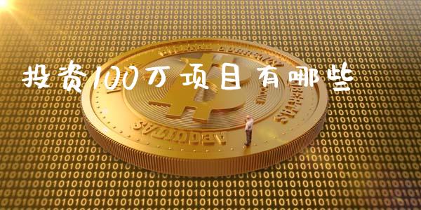 投资100万项目有哪些_https://cj006.lansai.wang_金融监管_第1张