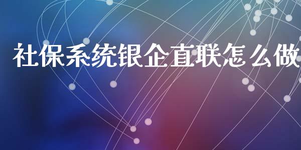 社保系统银企直联怎么做_https://cj006.lansai.wang_金融监管_第1张