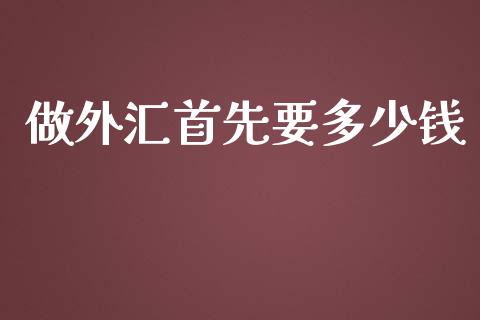 做外汇首先要多少钱_https://cj006.lansai.wang_期货开户_第1张