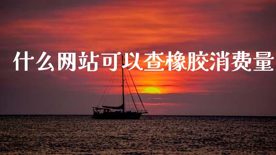 什么网站可以查橡胶消费量_https://cj006.lansai.wang_外汇交易_第1张