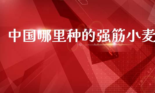 中国哪里种的强筋小麦_https://cj006.lansai.wang_财经新闻_第1张