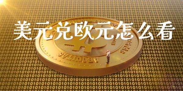 美元兑欧元怎么看_https://cj006.lansai.wang_全球市场_第1张