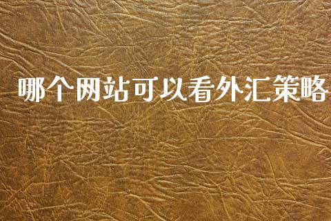 哪个网站可以看外汇策略_https://cj006.lansai.wang_期货开户_第1张