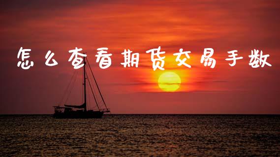 怎么查看期货交易手数_https://cj006.lansai.wang_金融监管_第1张