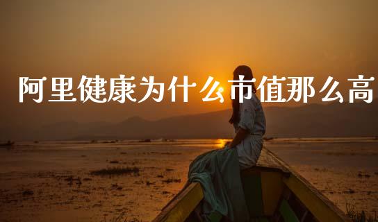阿里健康为什么市值那么高_https://cj006.lansai.wang_全球市场_第1张