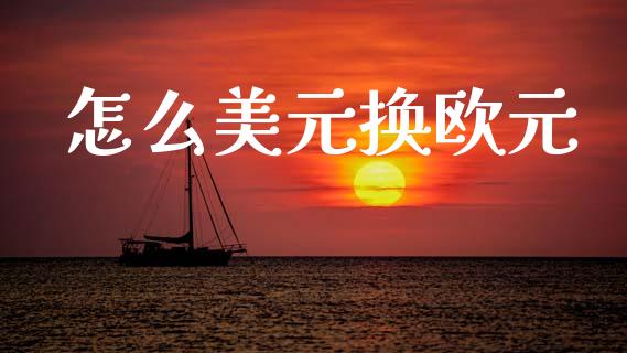 怎么美元换欧元_https://cj006.lansai.wang_全球市场_第1张