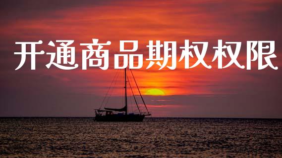 开通商品期权权限_https://cj006.lansai.wang_全球市场_第1张
