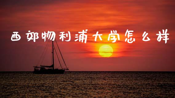西郊物利浦大学怎么样_https://cj006.lansai.wang_全球市场_第1张