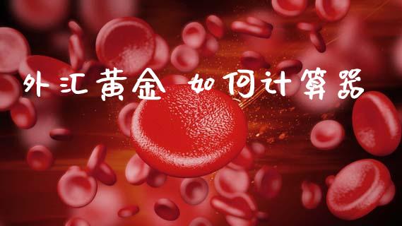 外汇黄金 如何计算器_https://cj006.lansai.wang_外汇交易_第1张