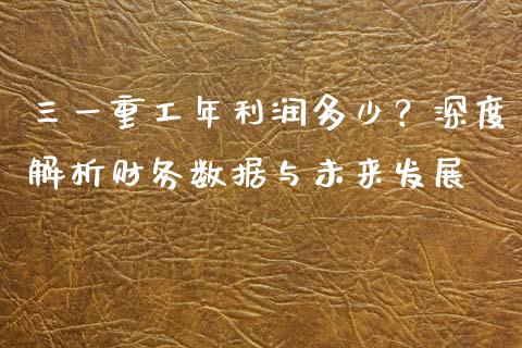 三一重工年利润多少？深度解析财务数据与未来发展_https://cj006.lansai.wang_外汇交易_第1张