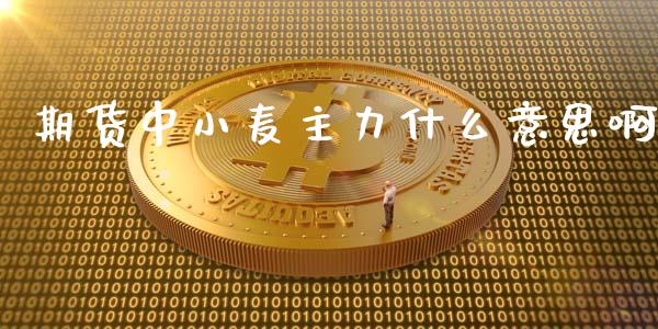 期货中小麦主力什么意思啊_https://cj006.lansai.wang_全球市场_第1张