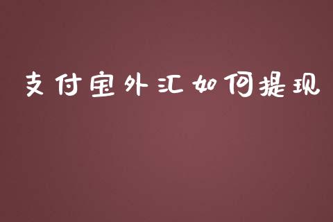 支付宝外汇如何提现_https://cj006.lansai.wang_期货开户_第1张