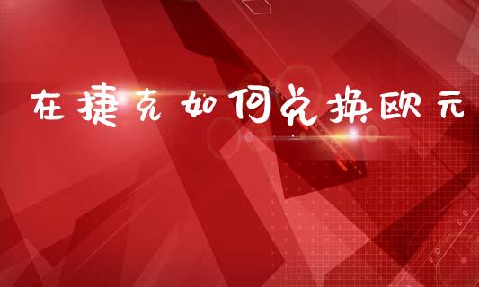 在捷克如何兑换欧元_https://cj006.lansai.wang_期货开户_第1张