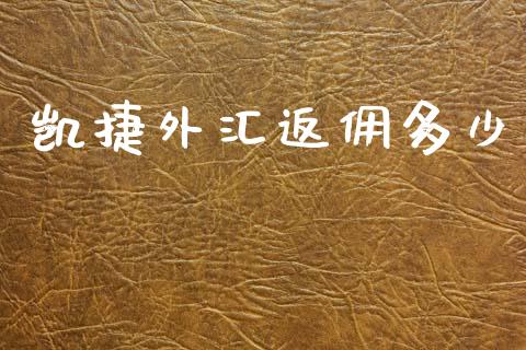 凯捷外汇返佣多少_https://cj006.lansai.wang_债券资讯_第1张