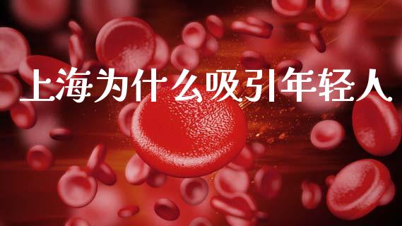 上海为什么吸引年轻人_https://cj006.lansai.wang_全球市场_第1张