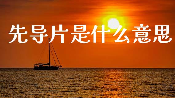 先导片是什么意思_https://cj006.lansai.wang_外汇交易_第1张